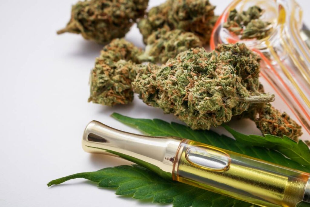 Les terpènes des fleurs CBD : clé pour choisir votre variété